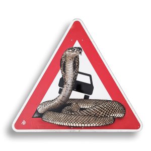 JPS – Road Snakes